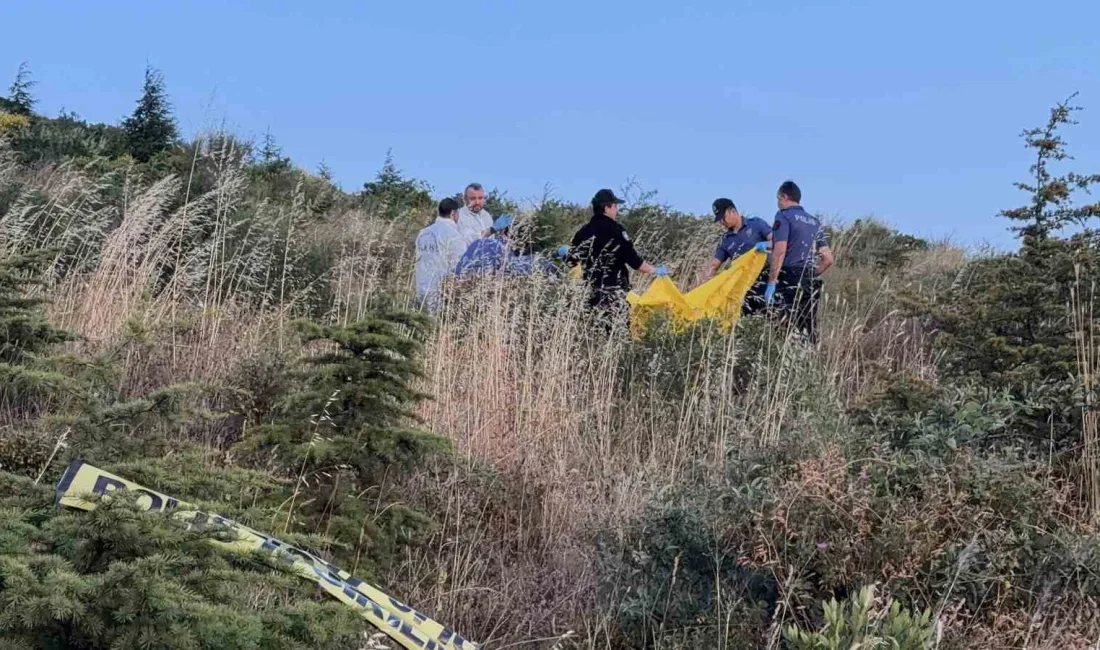Kocaeli’de yürüyüş alanında hareketsiz halde bulunan yaşlı adamın hayatını kaybettiği