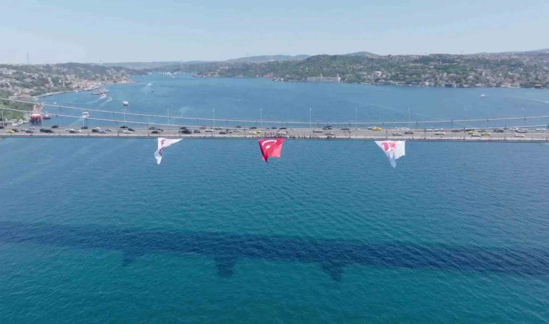 15 Temmuz hain darbe girişiminin 10’uncu yılı anma etkinlikleri kapsamında,