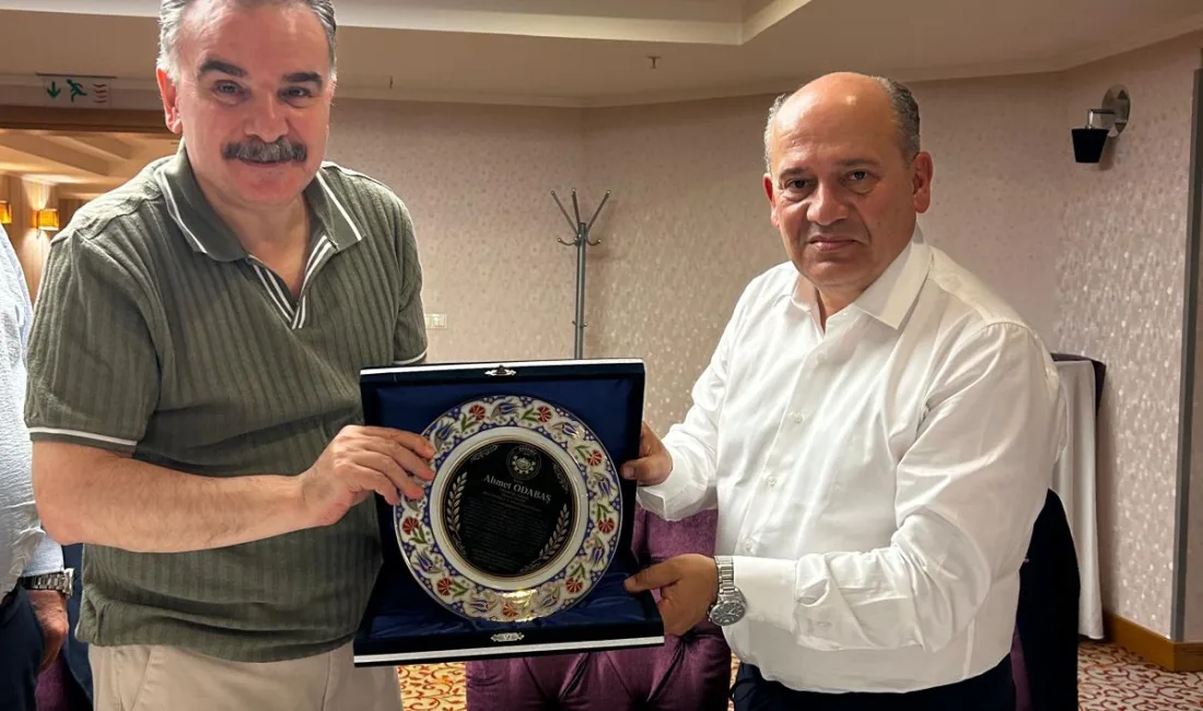Edremit Tarıma Dayalı İhtisas (Jeotermal Kaynaklı Sera) Organize Sanayi Bölgesi