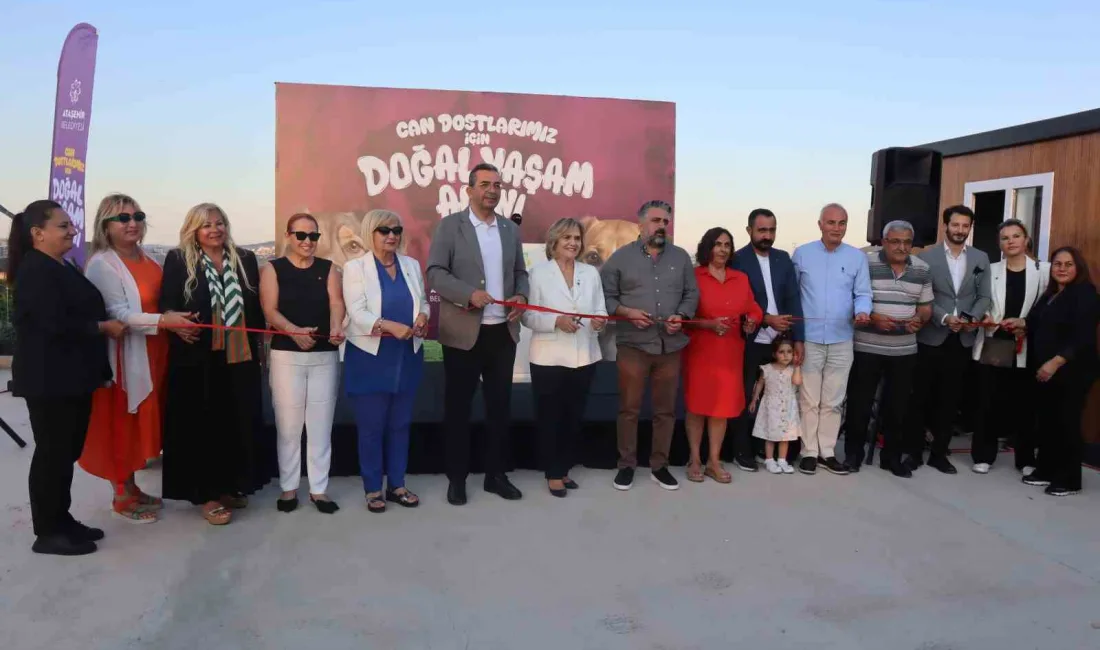 Ataşehir Belediyesi tarafından 118-Y Anadolu Yakası Lions Federasyonu’nun katkılarıyla aynı