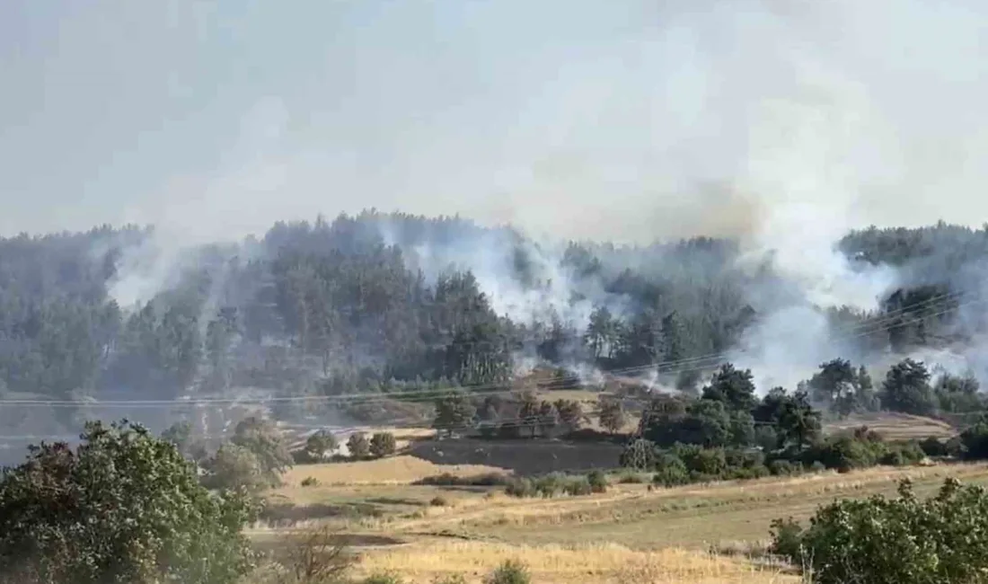 Balıkesir’in merkez Altıeylül ilçesi kırsalında arazide başlayıp ormana sirayet eden