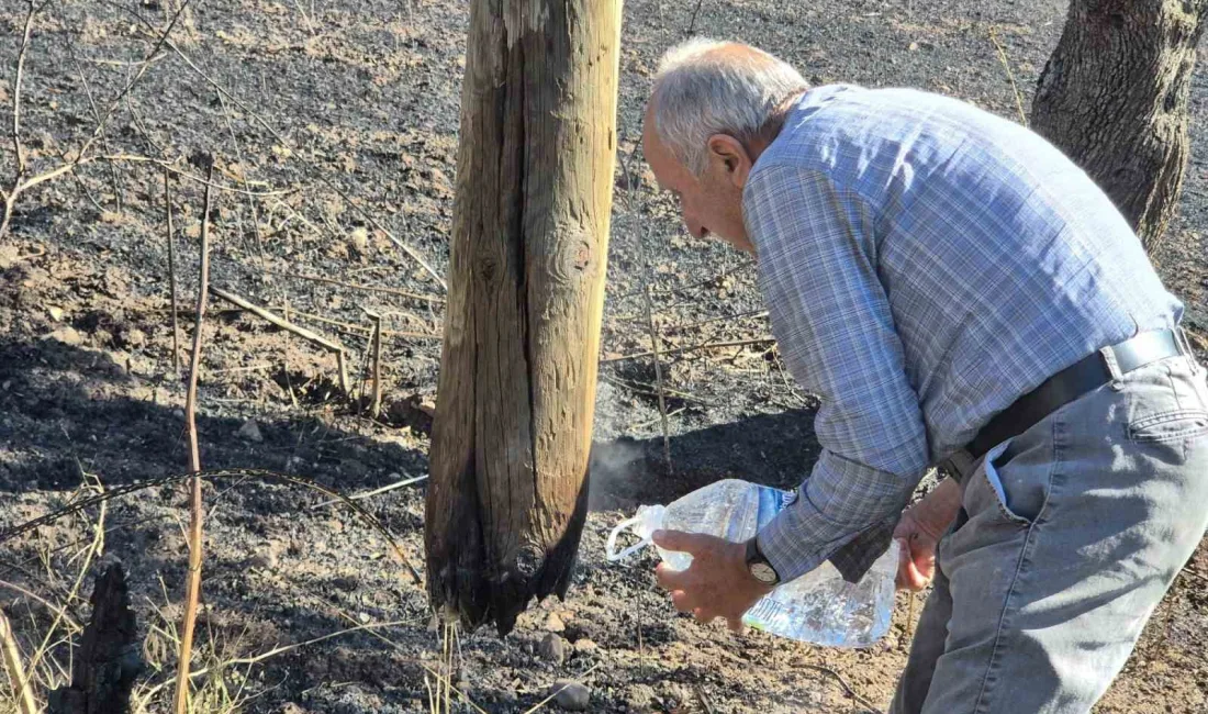 Balıkesir’in Altıeylül ilçesinde Bereketli kırsal mahallesi yakınlarında dün başlayan orman