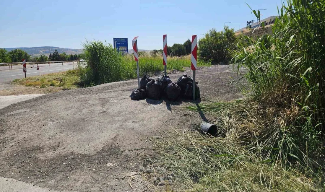 Bilecik’te jandarma ekiplerince poşet poşet çöp toplandı. Bilecik İl Jandarma