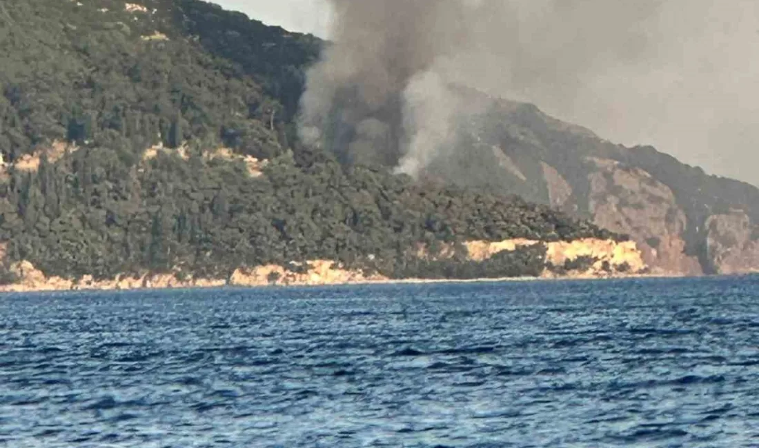 İstanbul’un Adalar ilçesi Büyükada’da bulunan Viranbağ Plajı’nda çıkan yangın paniğe