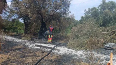Balıkesir’in Havran ilçesinde zeytinlik ve otluk alanda çıkan yangın, ekiplerin