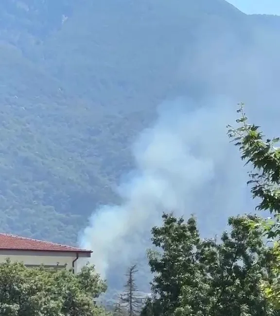 Bursa’nın Kestel ilçesi’nde orman yangını çıktı. Bölgeye sevk edilen ekipler,