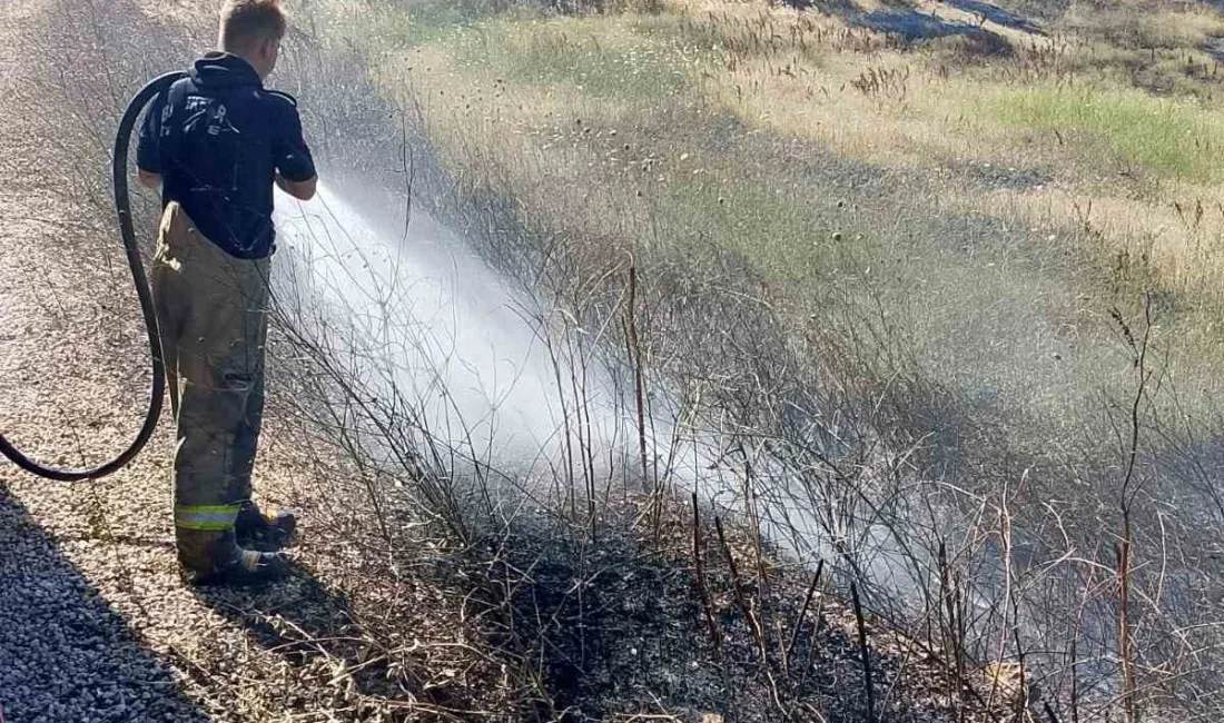 Balıkesir’in Susurluk ilçesinde iki mahalle arasındaki arazi ve koruluk alanda