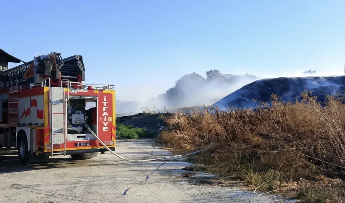 Balıkesir’in Susurluk ilçesinde otluk alanda meydana gelen yangın, itfaiye ekiplerinin