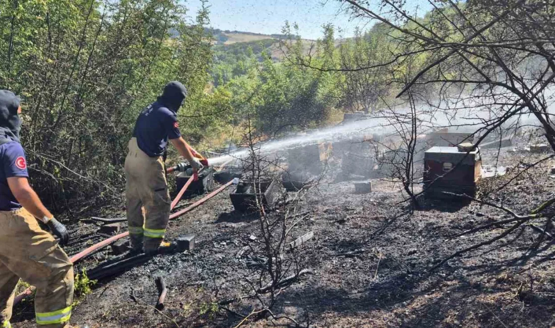 Balıkesir’in Susurluk ilçesinde eski askeriye mevkisinde çıkan çalılık yangını itfaiye