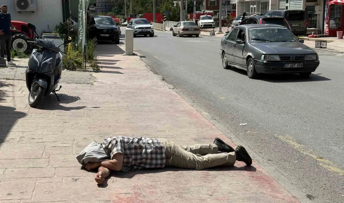 Sakarya’nın Kaynarca ilçesinde kaldırımda yatar halde bulunan ve kendisini götürmek