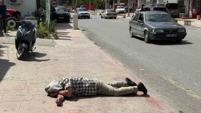 Sakarya’nın Kaynarca ilçesinde kaldırımda yatar halde bulunan ve kendisini götürmek