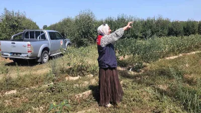 Kırklareli’nin Babaeski ilçesinde tarım arazilerinin güncel kullanım durumunun belirlenmesi için