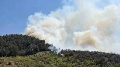 Balıkesir’in Dursunbey ilçesinde yol kenarında başlayan yangın, ormana sirayet etti.
