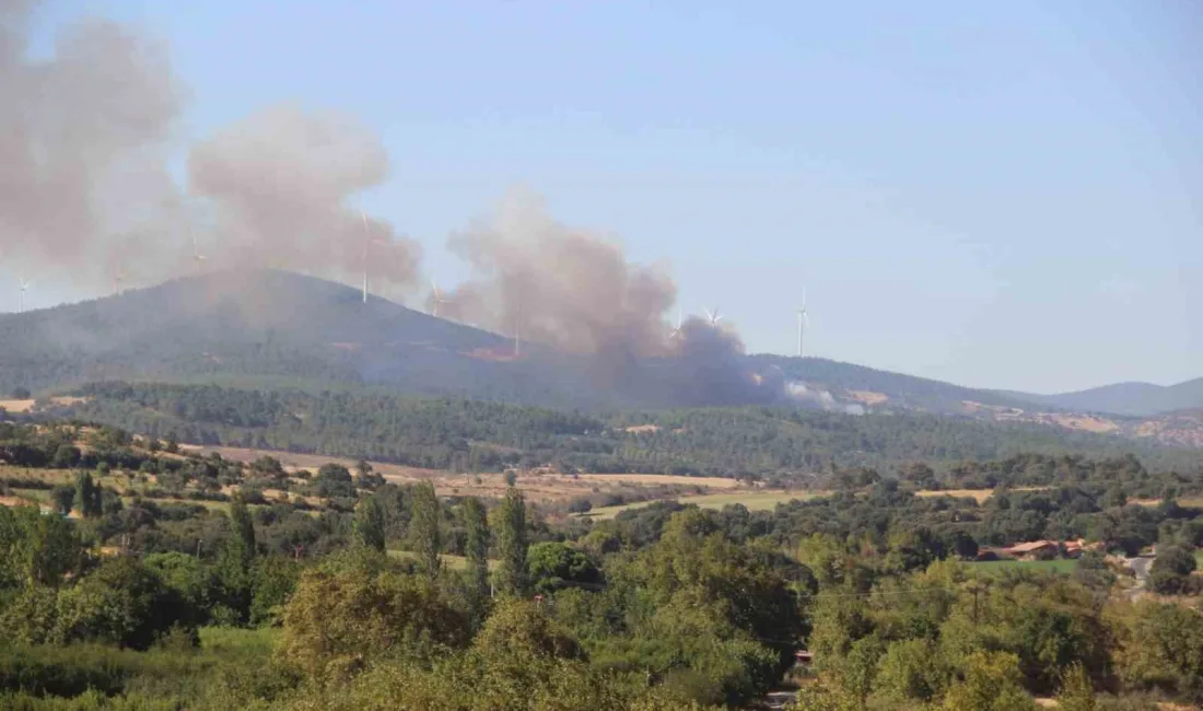 Çanakkale’nin Bayramiç ilçesinde çıkan orman yangınına havadan ve karadan müdahale