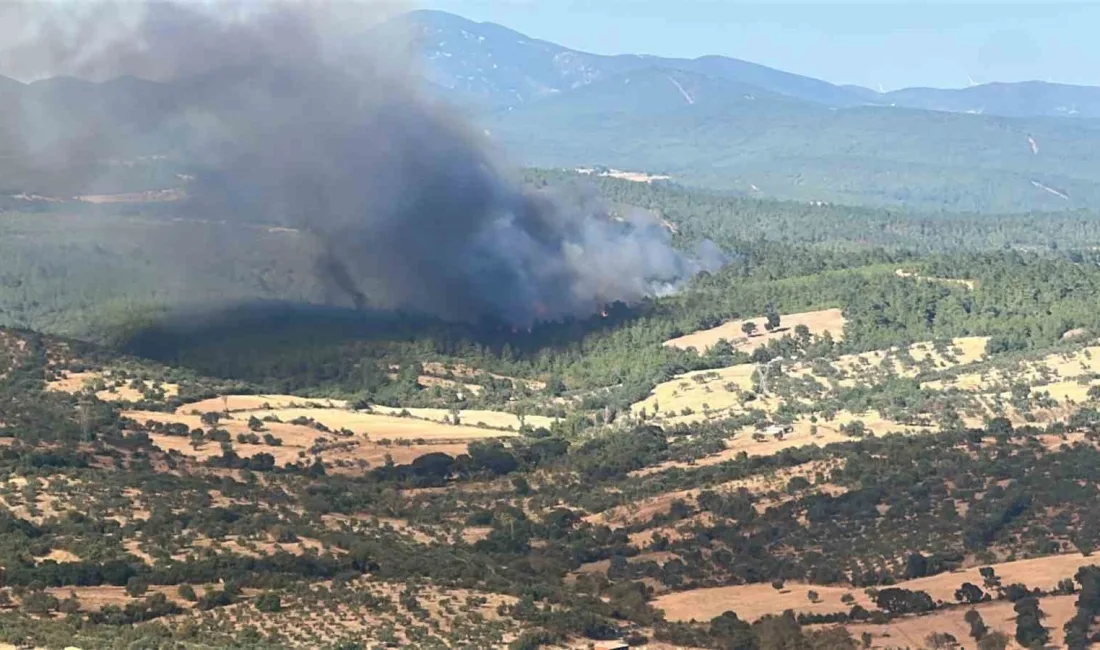 Çanakkale’nin Bayramiç ilçesinde çıkan orman yangınına havadan ve karadan müdahale