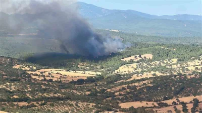 Çanakkale’nin Bayramiç ilçesinde çıkan orman yangınına havadan ve karadan müdahale