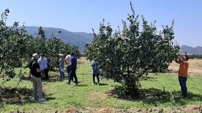 Bilecik’in Osmaneli ilçesinde tarım arazileri hastalık ve zararlı organizmalara karşı