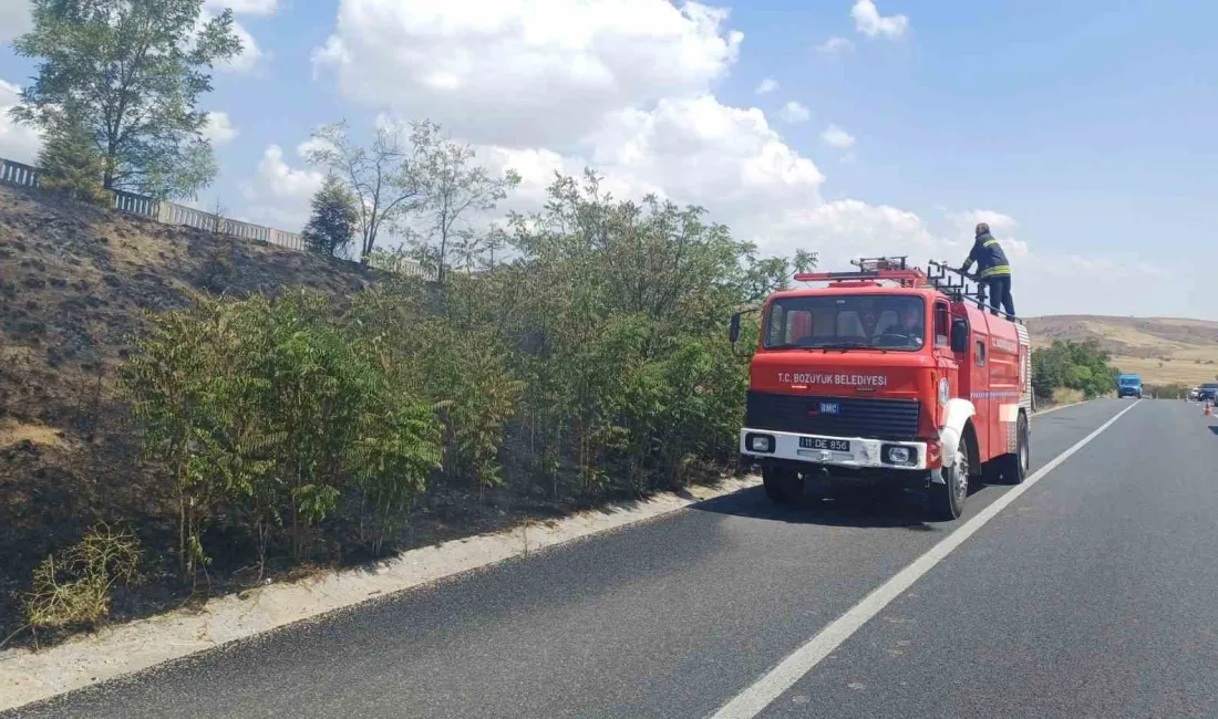 Bilecik’in Bozüyük ilçesinde yol kenarında bulunan otluk alanda yangın çıktı.