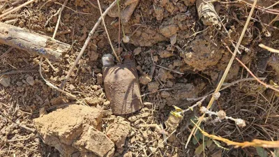 Bursa’nın Orhangazi ilçesinde bir vatandaşın tarla yakınındaki boş arazide bulduğu