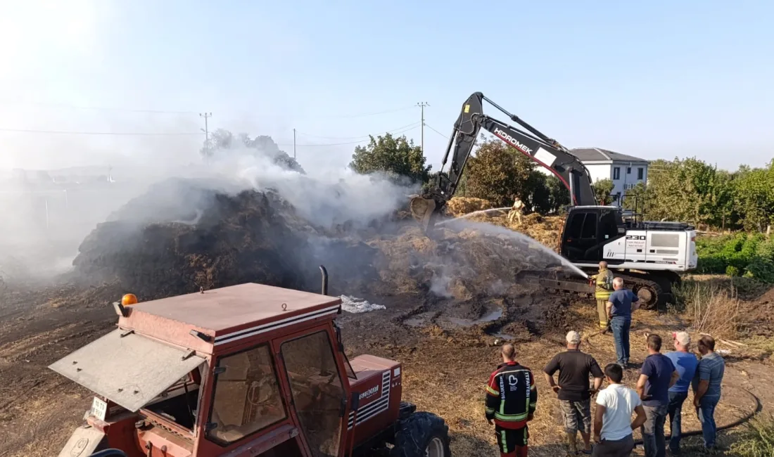 Balıkesir’in Gönen ilçesinde yol kenarındaki otluk alanda başlayıp bir çiftliğe