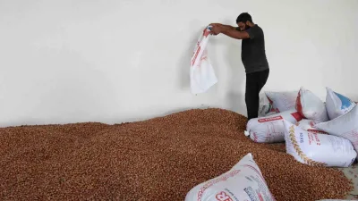 Kandıra’da hizmete açılan Tarımsal Ürün Depolama ve Değerlendirme Merkezi’nde fındık