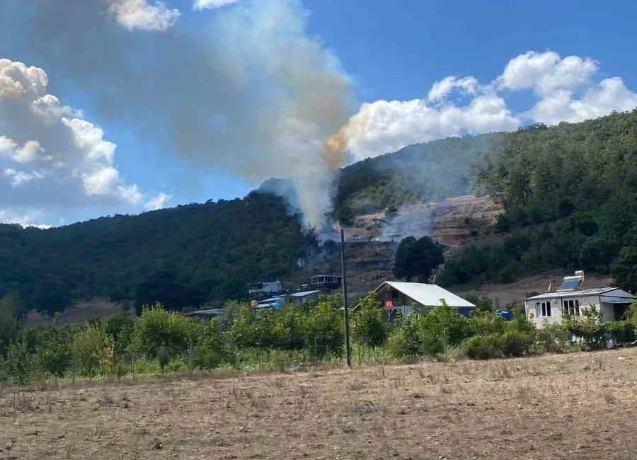 Bursa’nın Kestel ilçesinde tarım arazisinde başlayan ot yangını, kısa sürede