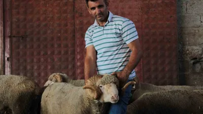 Balıkesir’in Bandırma ilçesindeki Bandırma Koyunculuk Araştırma Enstitüsü bünyesinde gerçekleştirilen açık