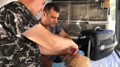 Balıkesir Büyükşehir Belediyesi’nin Can Dost Yerinde Hayvan Bakım ve Tedavi