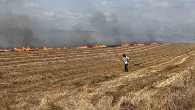 Silivri’de tarlada başlayan yangın geniş alana yayıldı. TEM otoyolu yangın