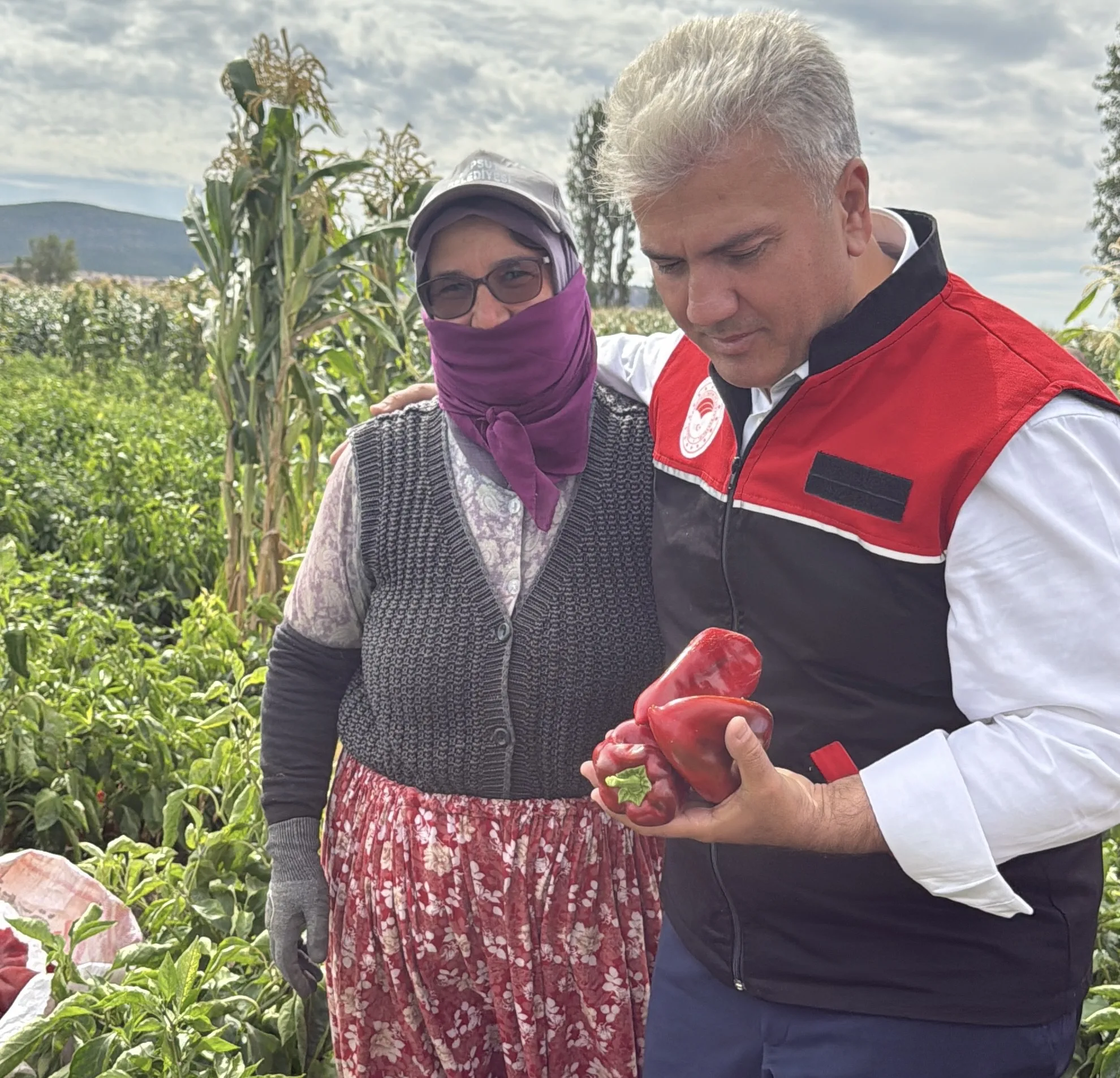 CANBEY, KEPSUT’TA ÇİFTÇİLERLE BİRLİKTE HASAT YAPTI