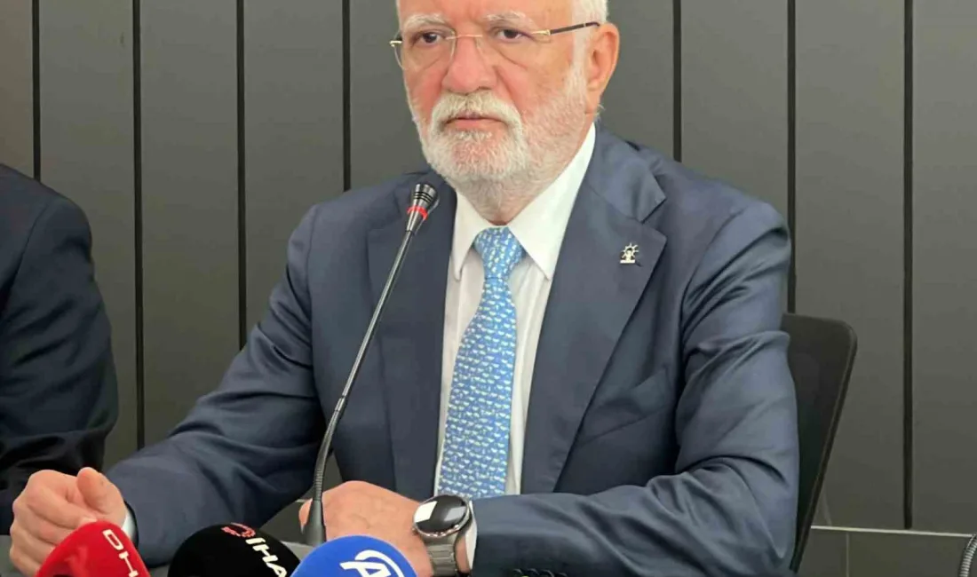 AK Parti Genel Başkanvekili Mustafa Elitaş, sivil toplum kuruluşları (STK)