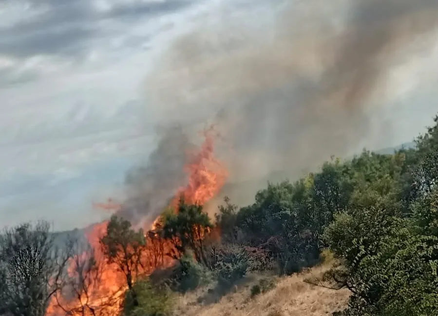 Çanakkale’nin Ayvacık ilçesinde makilik alanda çıkan yangın kontrol altına alındı.