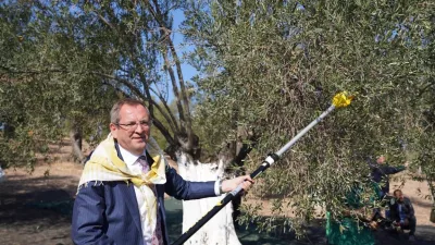 Balıkesir’in Ayvalık ilçesinde; Belediye Başkanı Mesut Ergin zeytin hasat döneminin