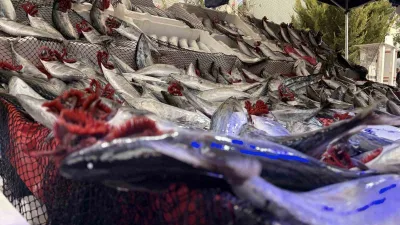Kırklareli’nde balıkçılık yapan Baran Eğer, palamudun tanesini 100-130 TL arasında