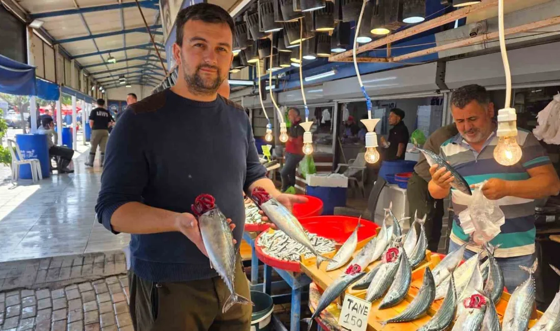 Bandırma’da balık sezonunun hareketlenmesiyle birlikte tezgâhlarda balık çeşitliliği artarken, yaklaşık