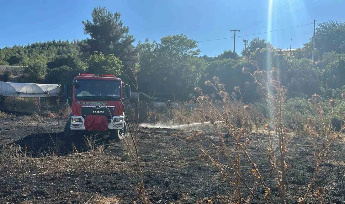 Bilecik’te meydana gelen ve çevresindeki sera ile yakınındaki depo alanına