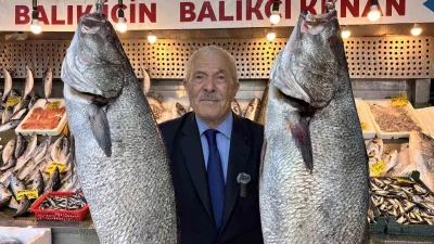 Av yasağının sona ermesiyle denizlerde balık bereketi yaşanmaya başladı. Türkiye
