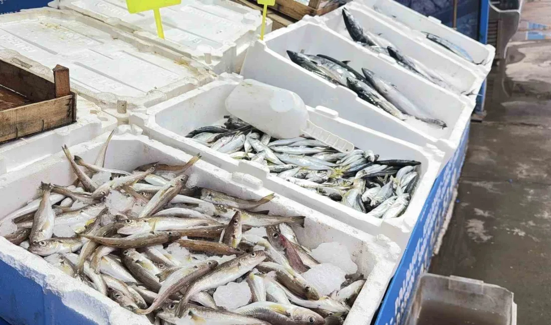 İstanbul’da etkili olan yağışlı ve fırtınalı havanın ardından deniz suyunun