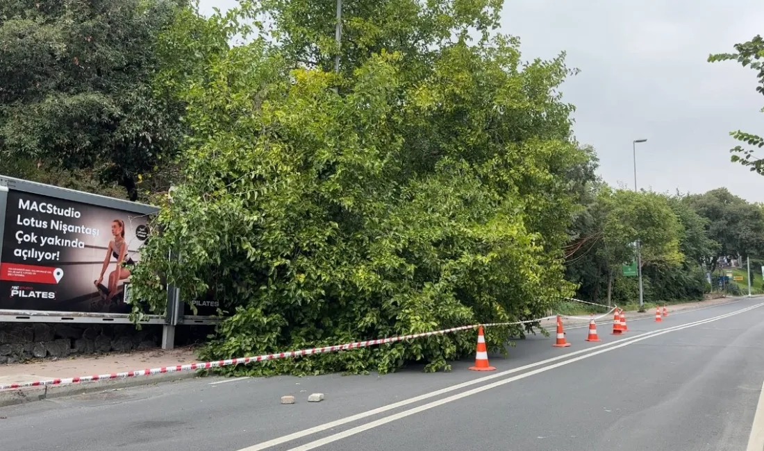 İstanbul’u etkisi altına alan yağışlı hava hayatı olumsuz etkiledi. Şişli’de