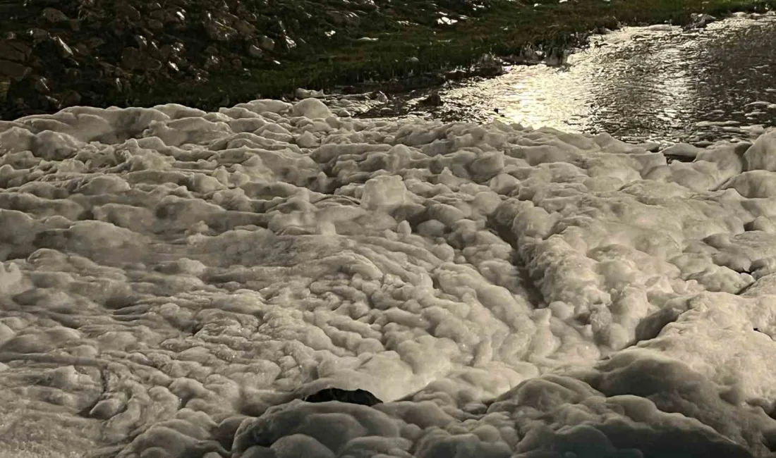 Kocaeli’nin İzmit ilçesindeki Sekapark sahilinde denize açılan tahliye kanalında oluşan