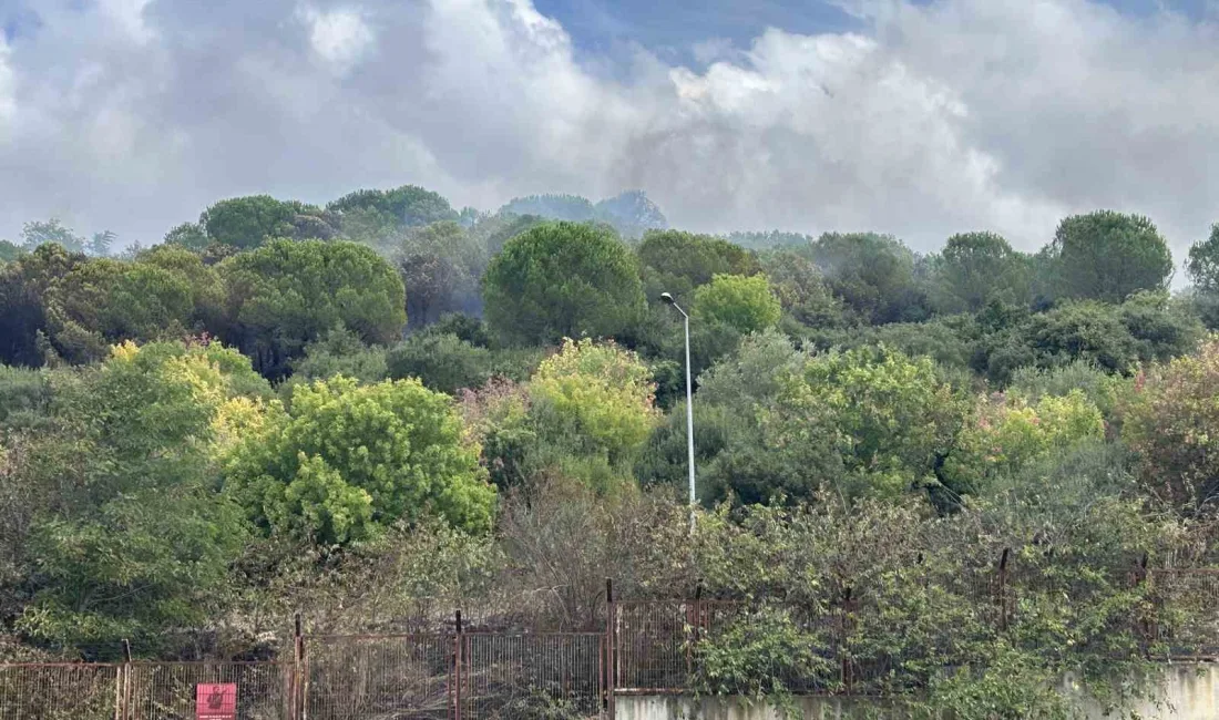 Maltepe’de yol kenarında çıkan yangın Kenan Evren Kışlası’ndaki ormanlık alana