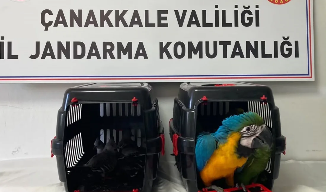 Çanakkale 1915 köprüsü gişelerinde geçişi sırasında şüpheli bulunan araçta jandarma