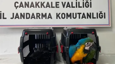 Çanakkale 1915 köprüsü gişelerinde geçişi sırasında şüpheli bulunan araçta jandarma