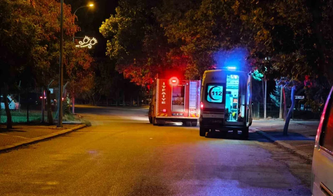 Bilecik’in Osmaneli ilçesinde Sakarya Nehri’ne düşen kişi ekipler tarafından kurtarıldı.