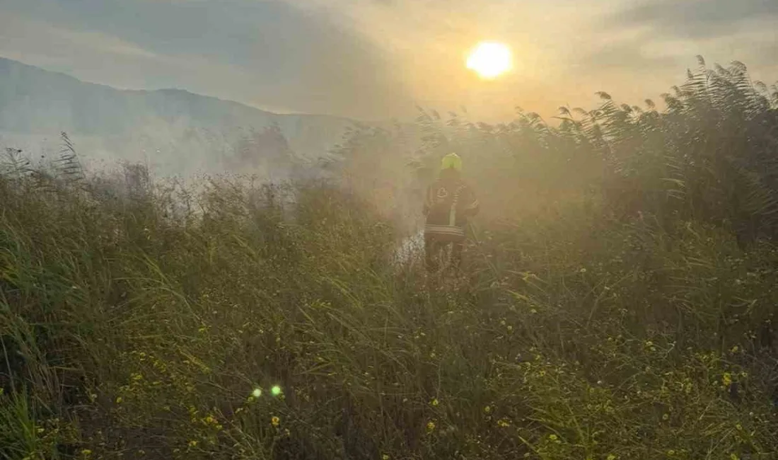 Balıkesir’in Sındırgı ilçesinde otluk alanda çıkan yangın, itfaiye ve orman