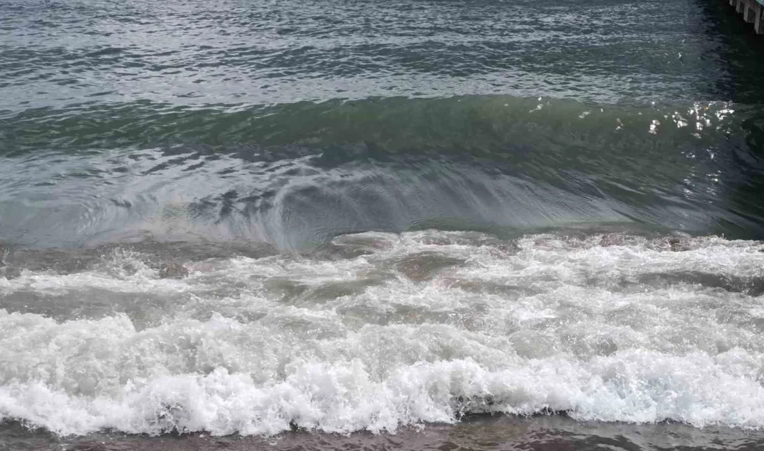 Tekirdağ’da etkili olan fırtına, balıkçıların denize açılmasına engel oldu. Balıkçıların