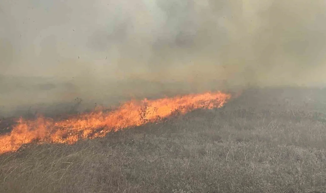 Tekirdağ’ın Muratlı ilçesinde merada çıkan yangın, itfaiye ekiplerinin müdahalesiyle söndürüldü.