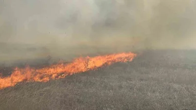 Tekirdağ’ın Muratlı ilçesinde merada çıkan yangın, itfaiye ekiplerinin müdahalesiyle söndürüldü.