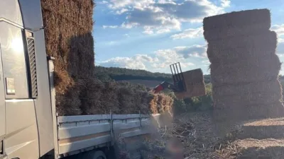 Tekirdağ’ın Malkara ilçesinde tıra yükleme sırasında devrilen saman balyalarının altında