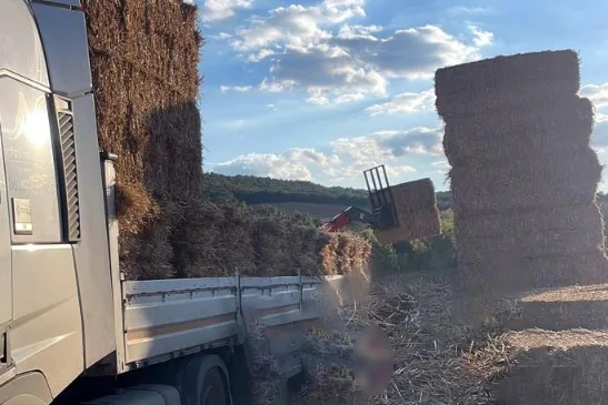 Tekirdağ’ın Malkara ilçesinde tıra yükleme sırasında devrilen saman balyalarının altında